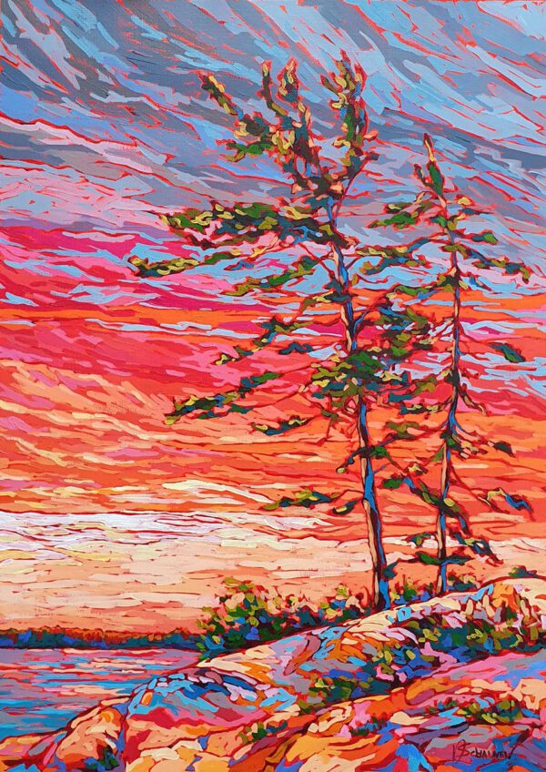 Pine trees at sunset