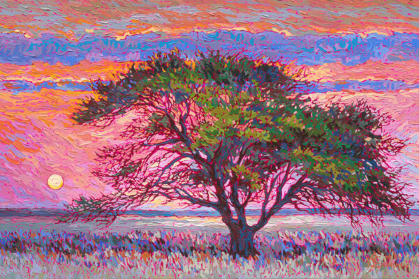 From Sunset to Sunrise