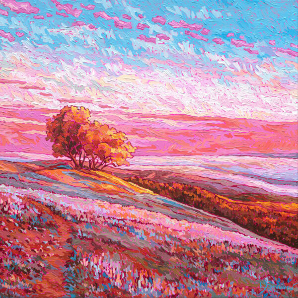 On the Hilltop
